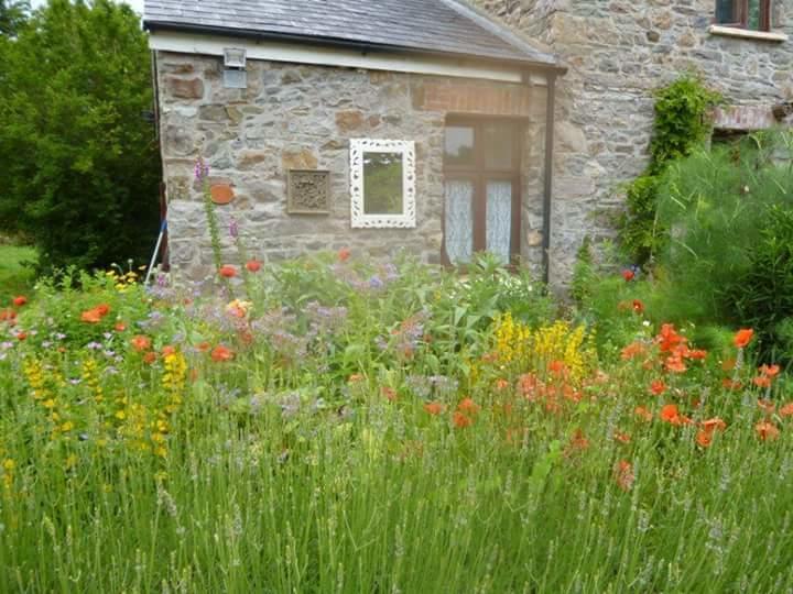 Bed and Breakfast Middle Mill Kidwelly Exteriér fotografie